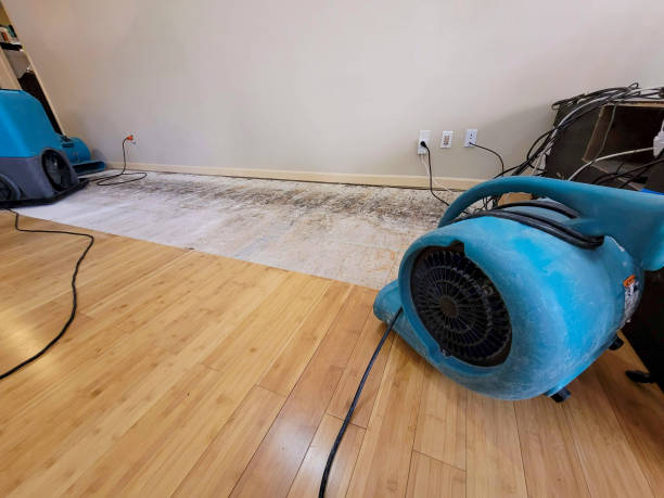 Professional Water Damage Repair technician working in Suwanee, GA